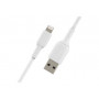 CABLE BOOST CHARGE & SYNCHRO USB VERS LIGHTNING MFI 2M BLANC - BELKIN